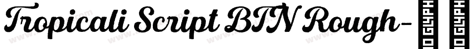 Tropicali Script BTN Rough字体转换